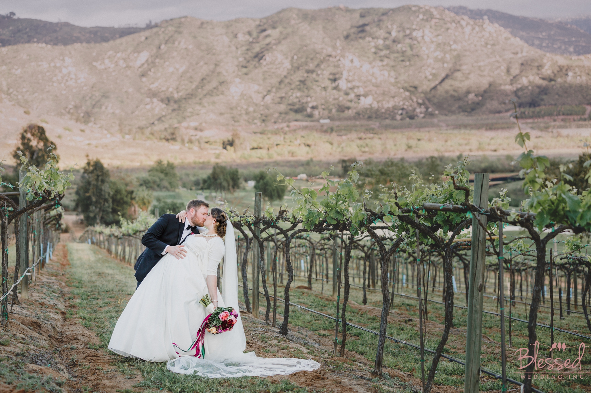 Orfila Vinery Wedding Temecula Wedding Photographer 31.jpg