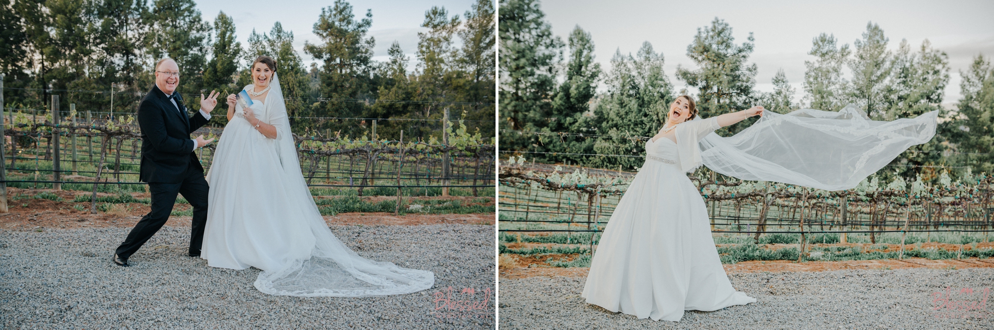 Orfila Vinery Wedding Temecula Wedding Photographer 25.jpg