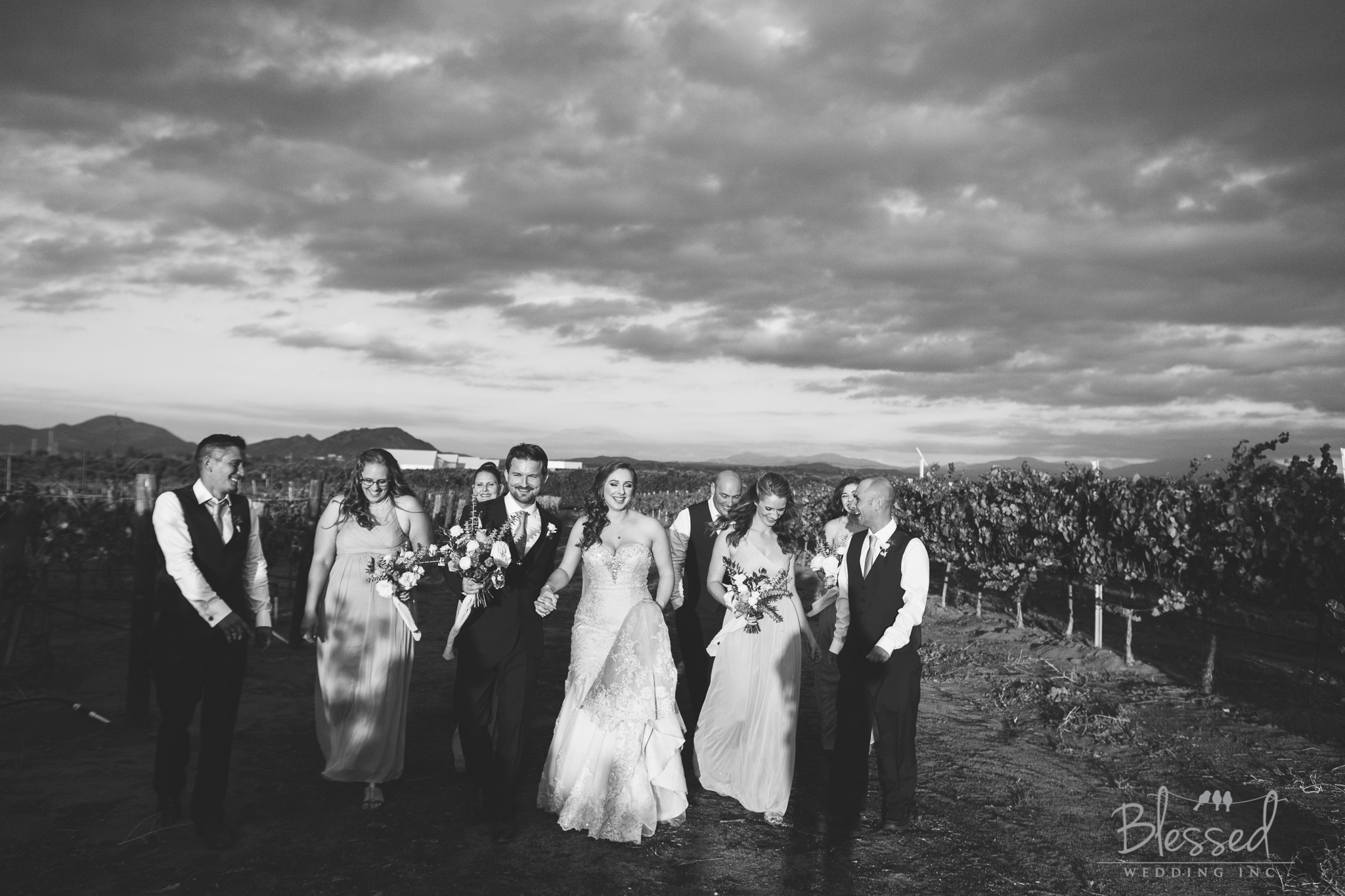 BlessedWeddingPhotography_WiensFamilyCellarsWedding (98 of 126).jpg
