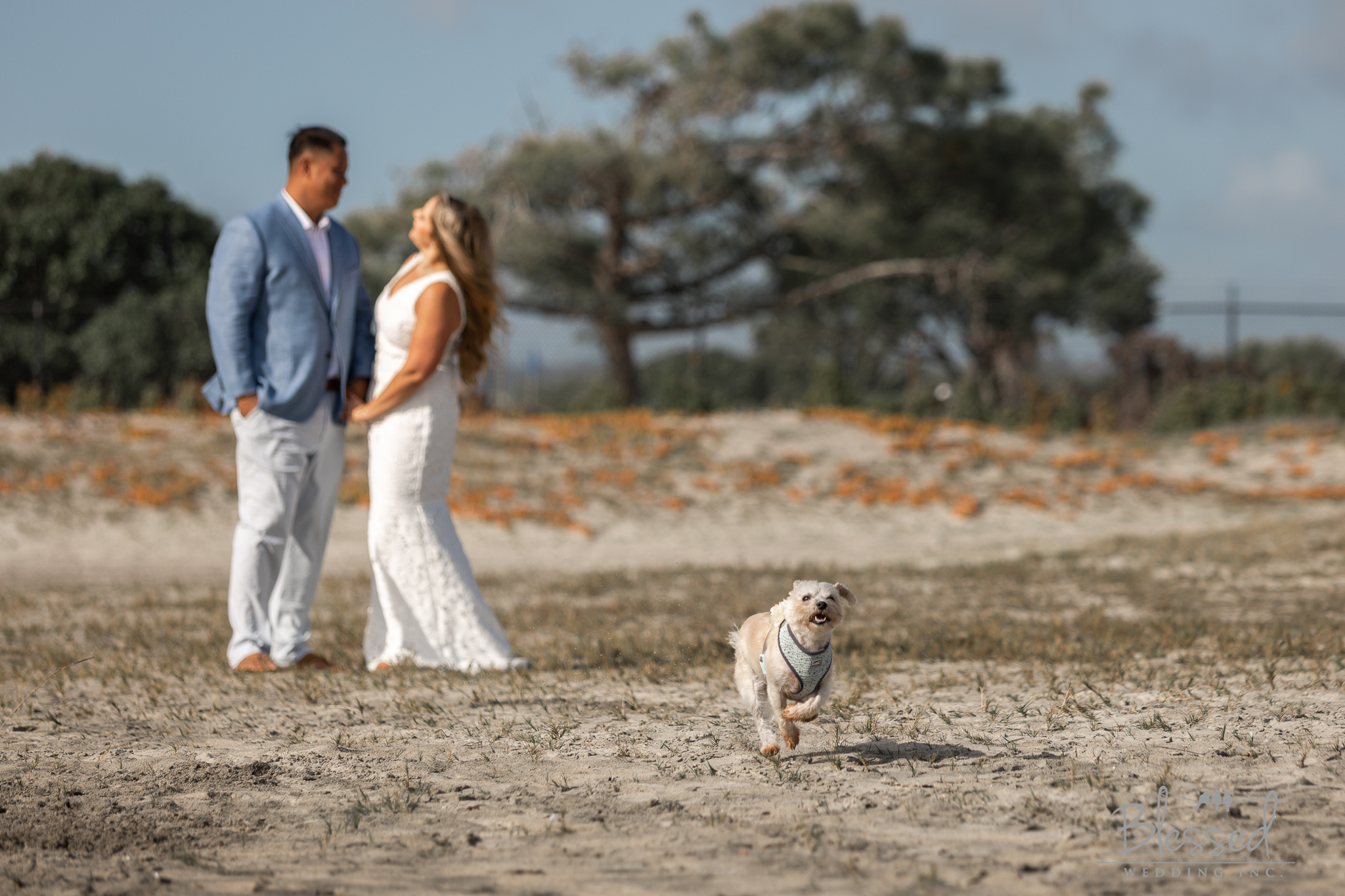 BlessedWeddingPhotography_CoronadoBeachElopement (27 of 55).jpg