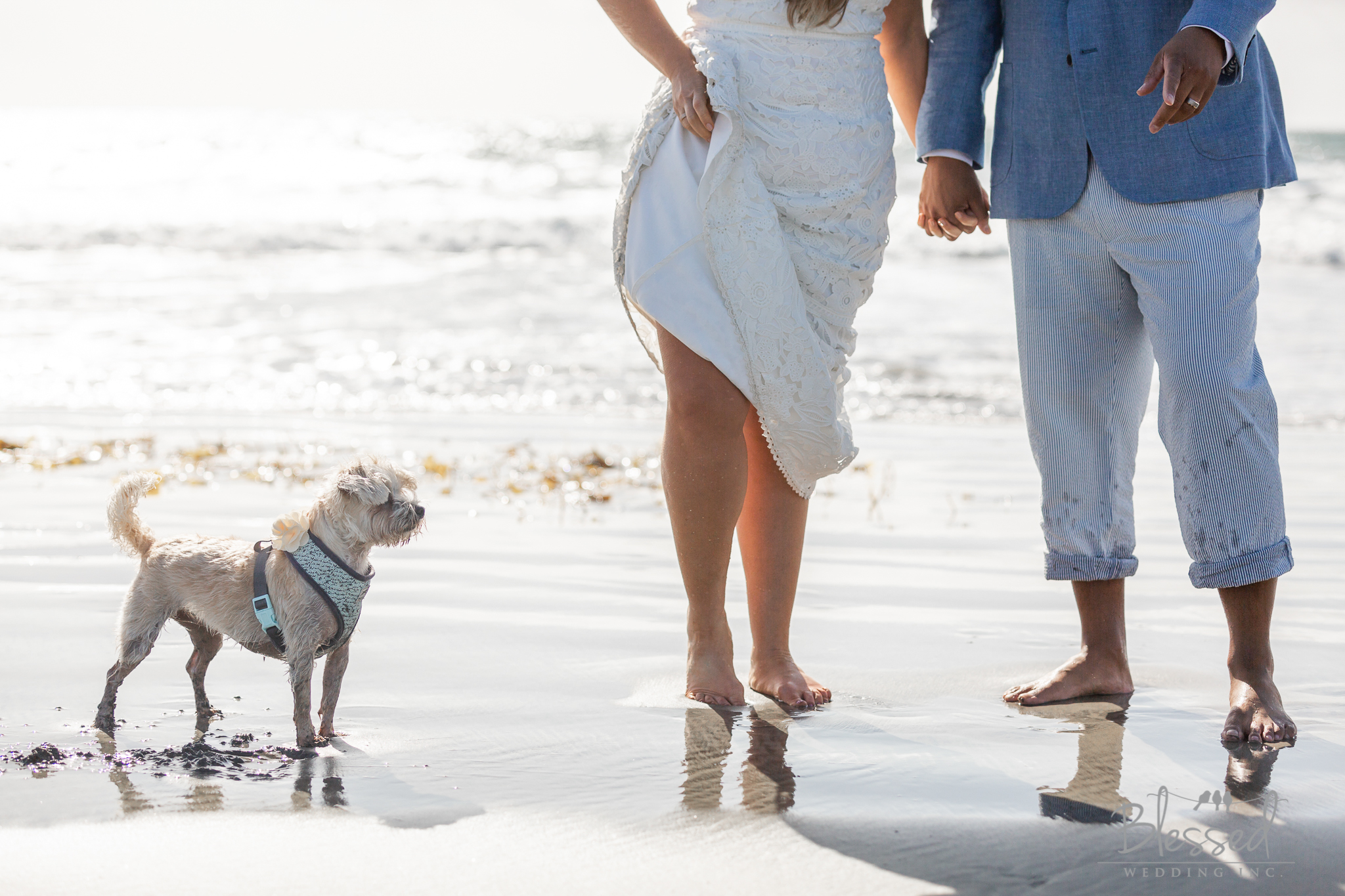 BlessedWeddingPhotography_CoronadoBeachElopement (54 of 55).jpg
