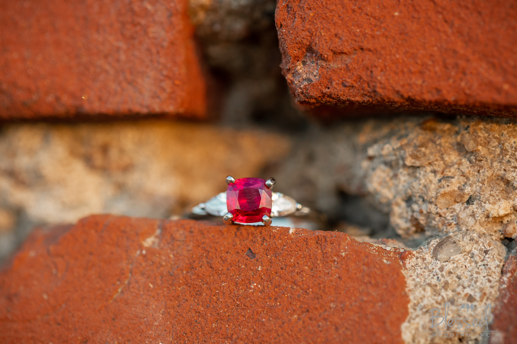 BlessedWeddingPhotography_CuvierParkLaJollaEngagement (29 of 33).jpg