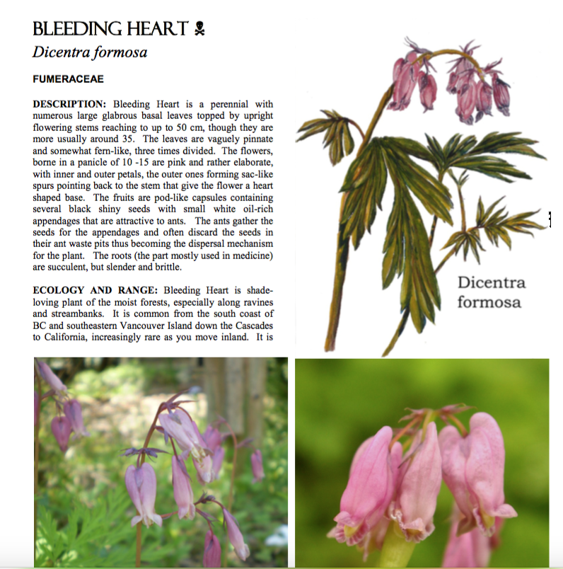 An example of just one of the 300 illustrated pages. 