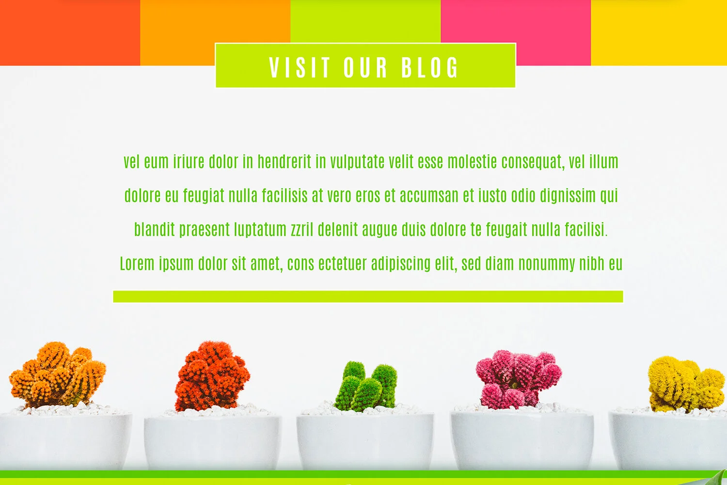 PLANTED-4.jpg
