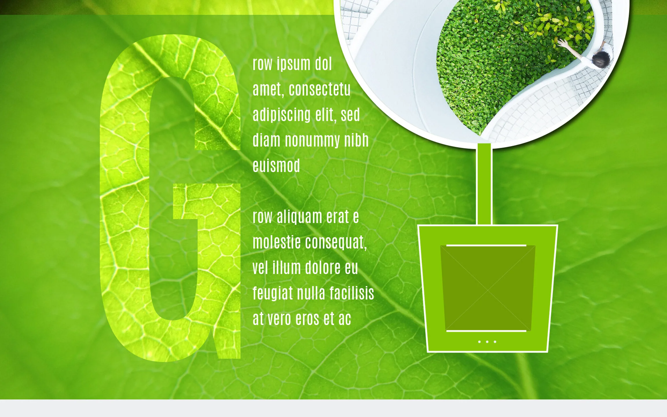 planted 5.jpg