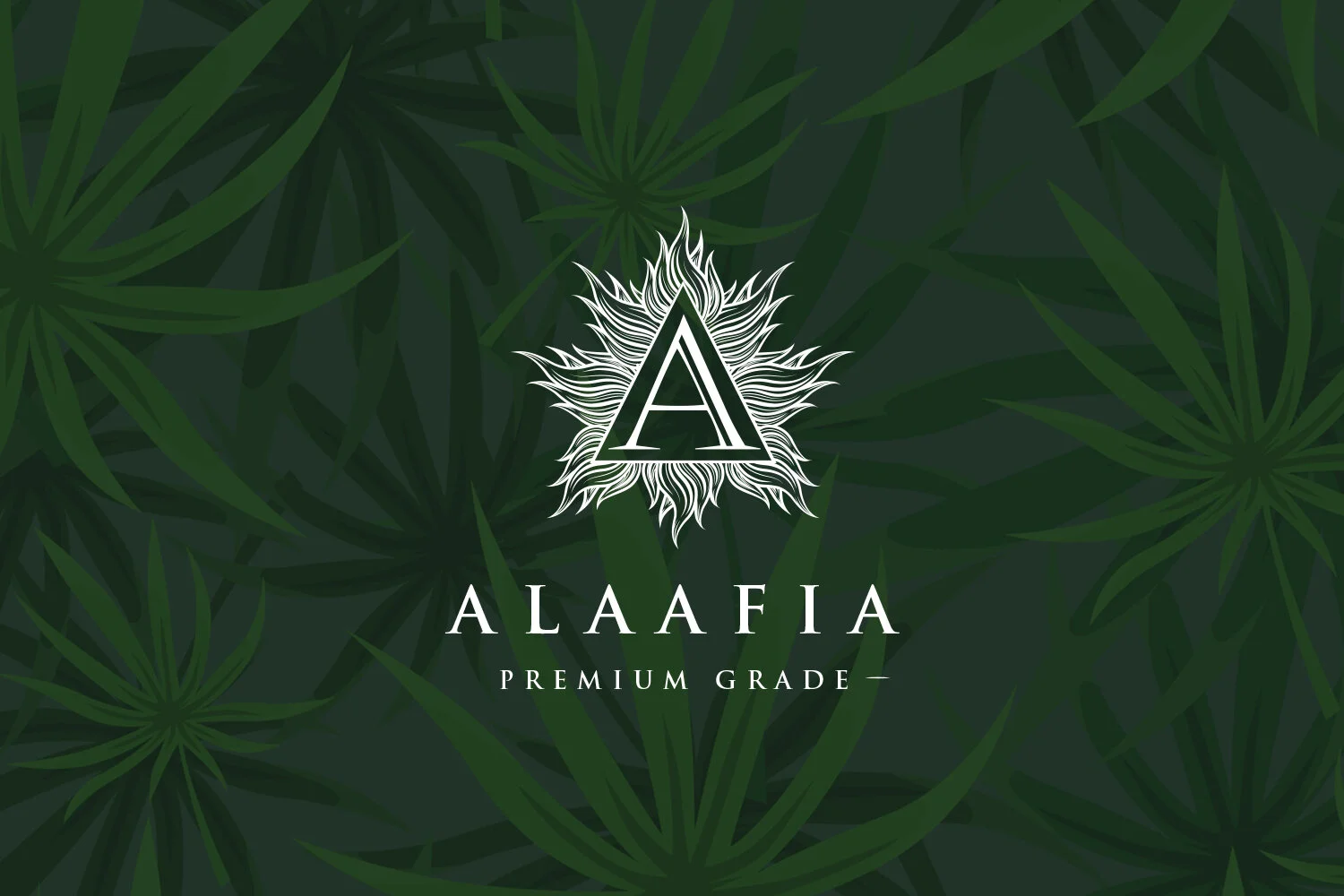 AALAAFIA copy.jpg