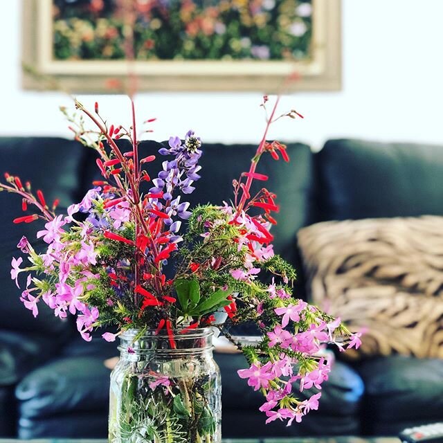 Hunted and gathered by @mclaugh777  and arranged by me. Put a little wild in your flower vase- bring color from the outside in...to your life. #smalljoys #DD&amp;me #livluvlifestyle