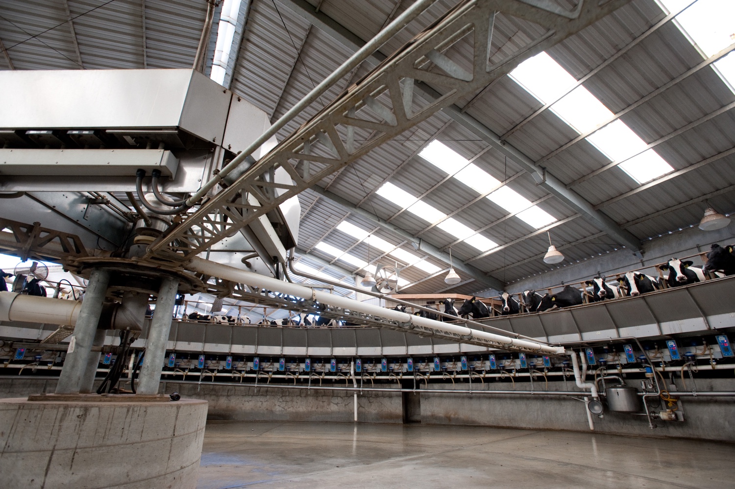 Fost Farms Dairy 2.jpg