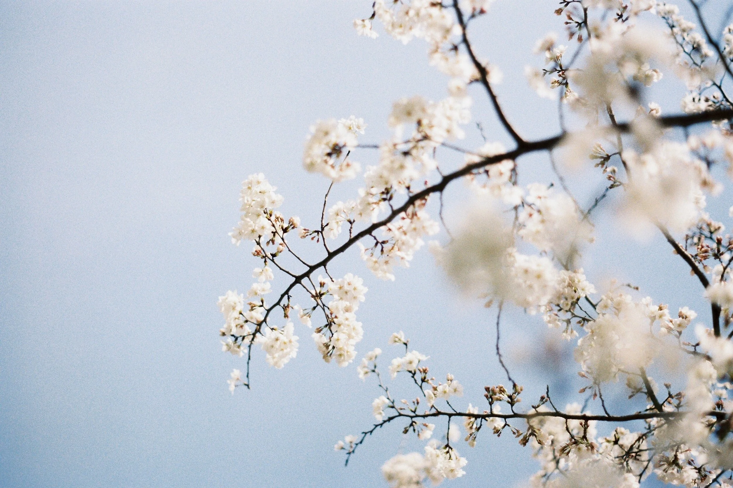 unsplash-image-PYbFkzi-fI0.jpg