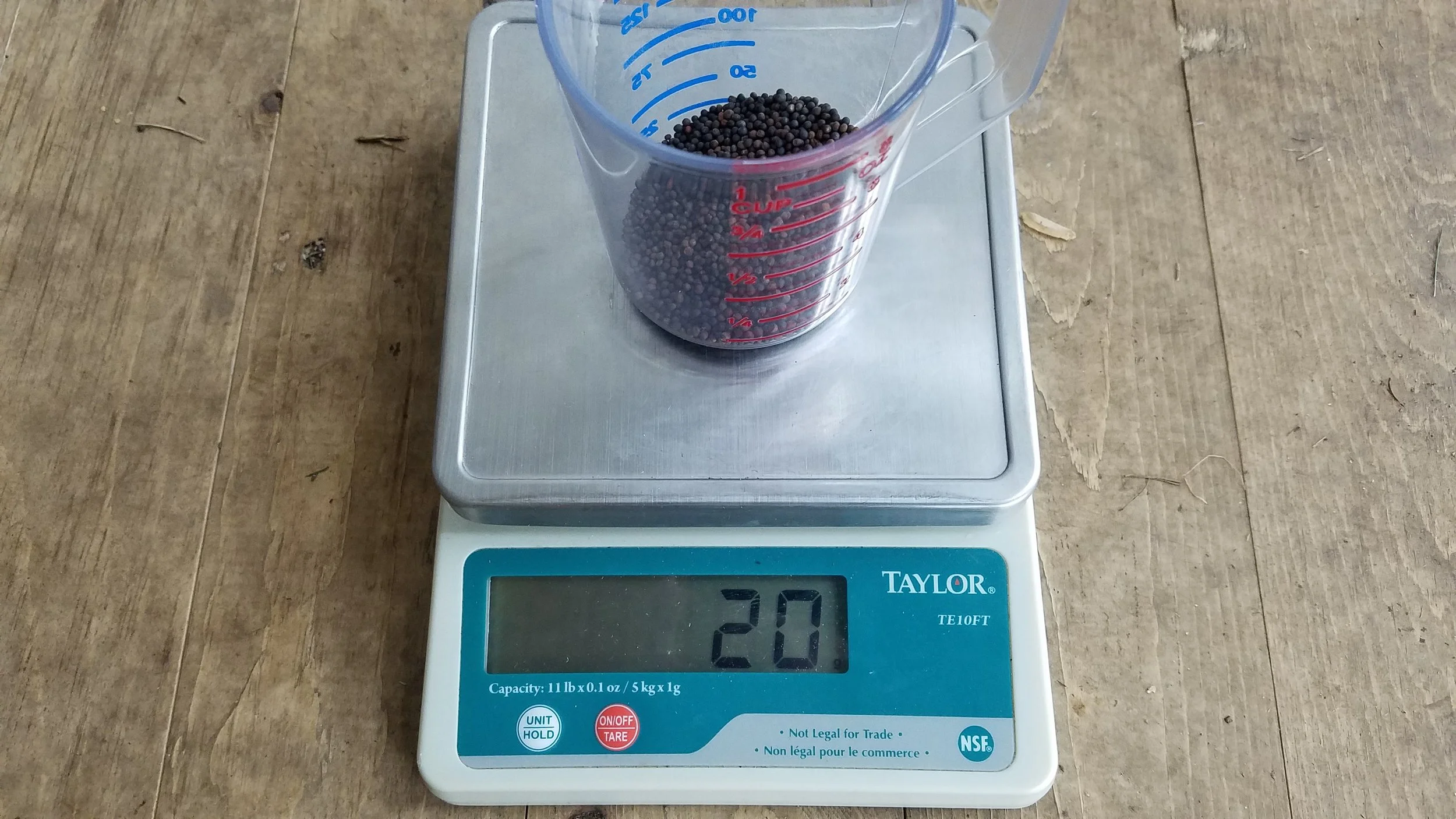 Time to seed! For future reference, your seed weight is 20g.