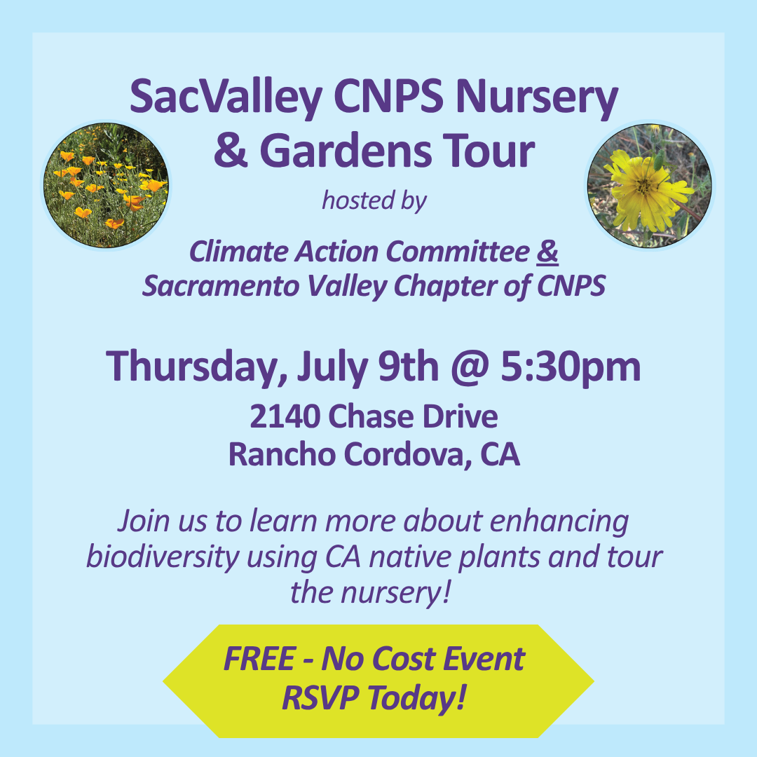 SacValley CNPS Nursery & Garden Tour