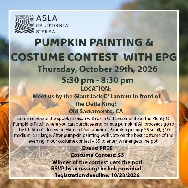 Pumpkin Painting and Costume Contest