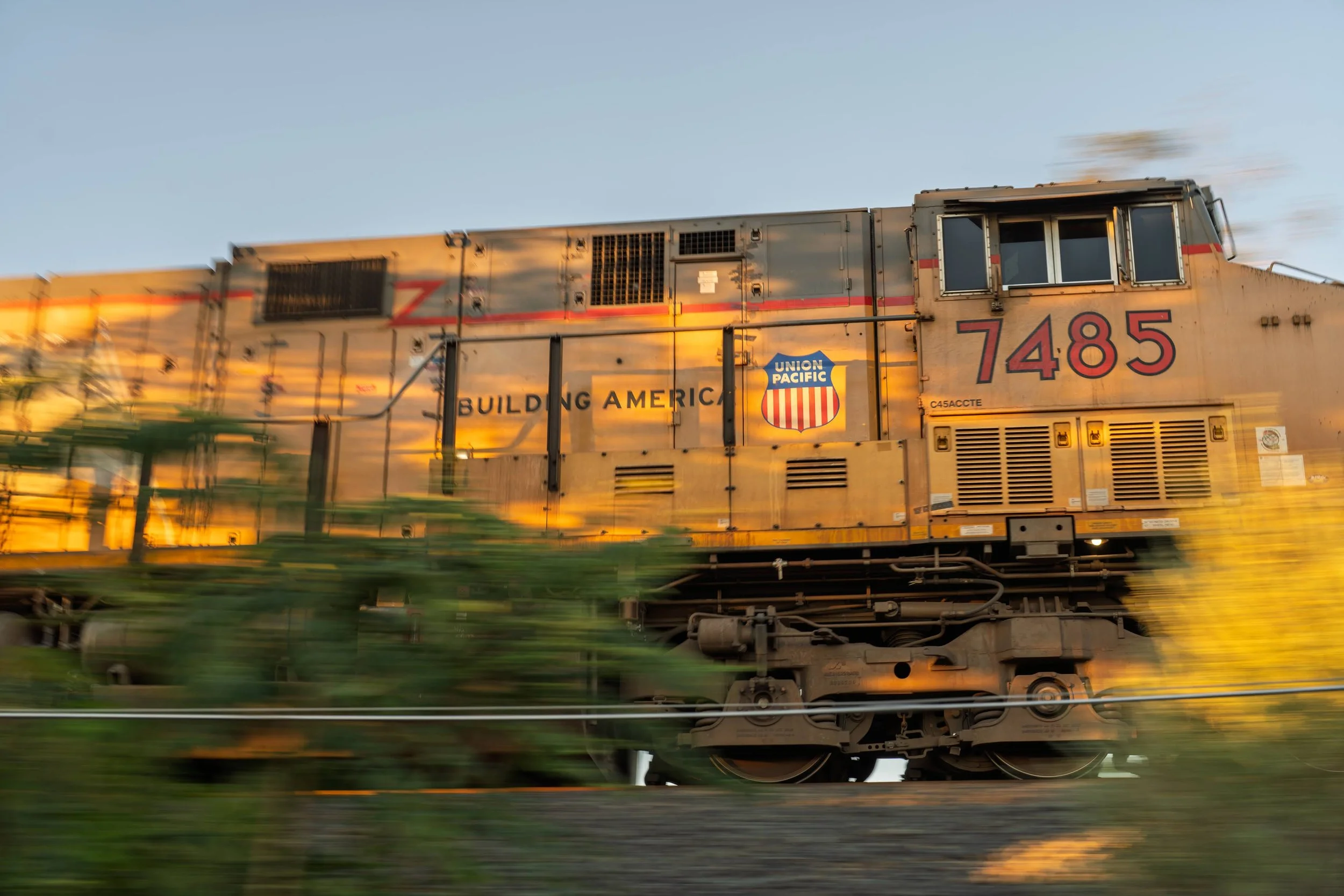 ASLA-8288.jpg