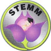 STEMM | Supporting Teenagers with Education, Mothering and Mentoring.