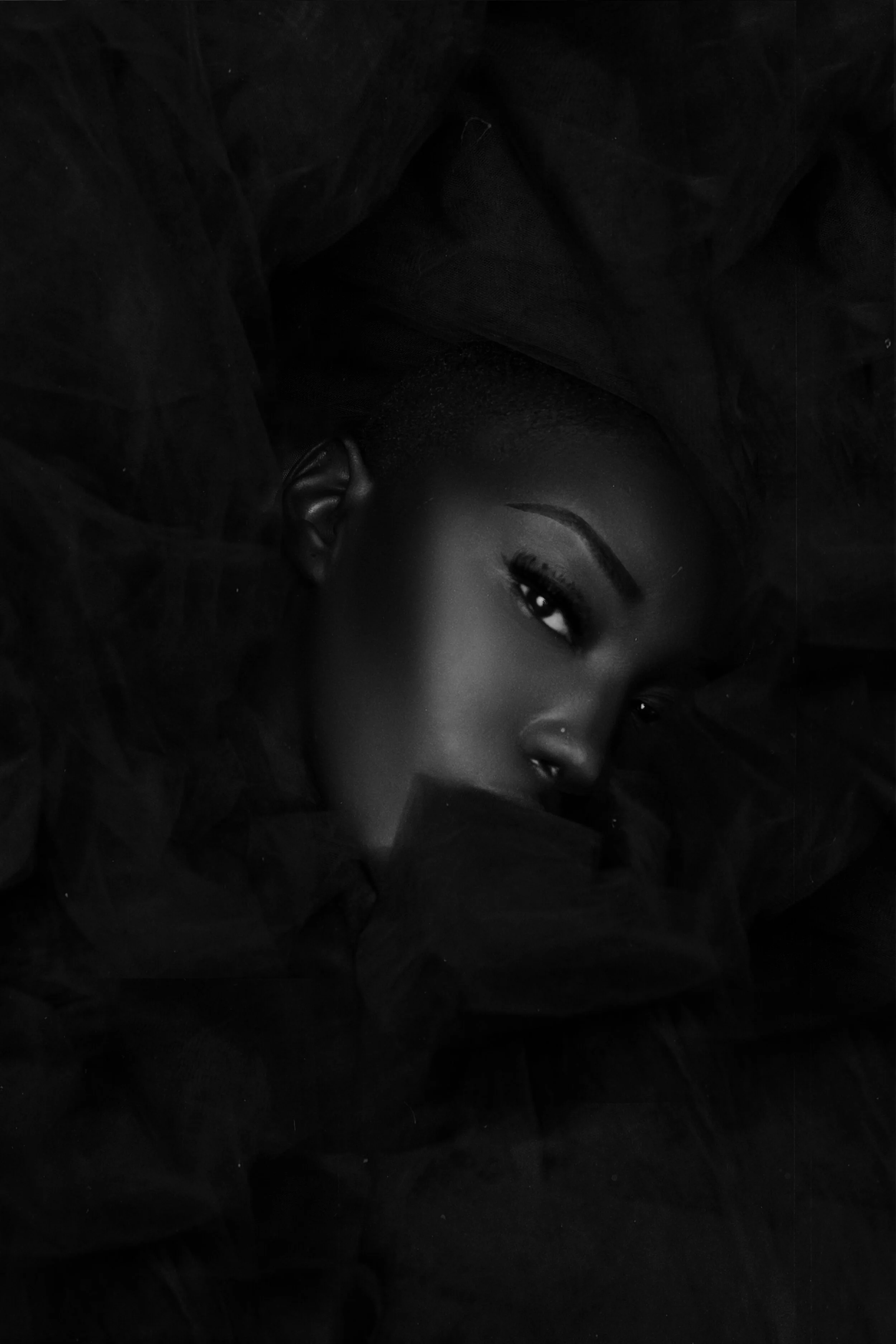 607A6642bw.jpg