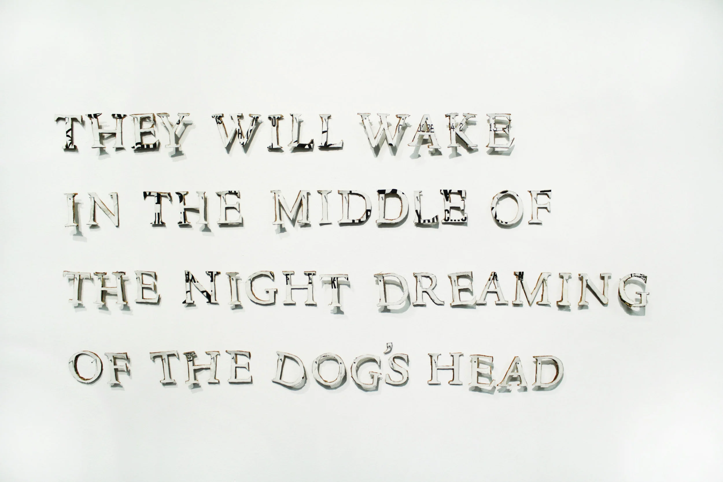 DogsHead.jpg