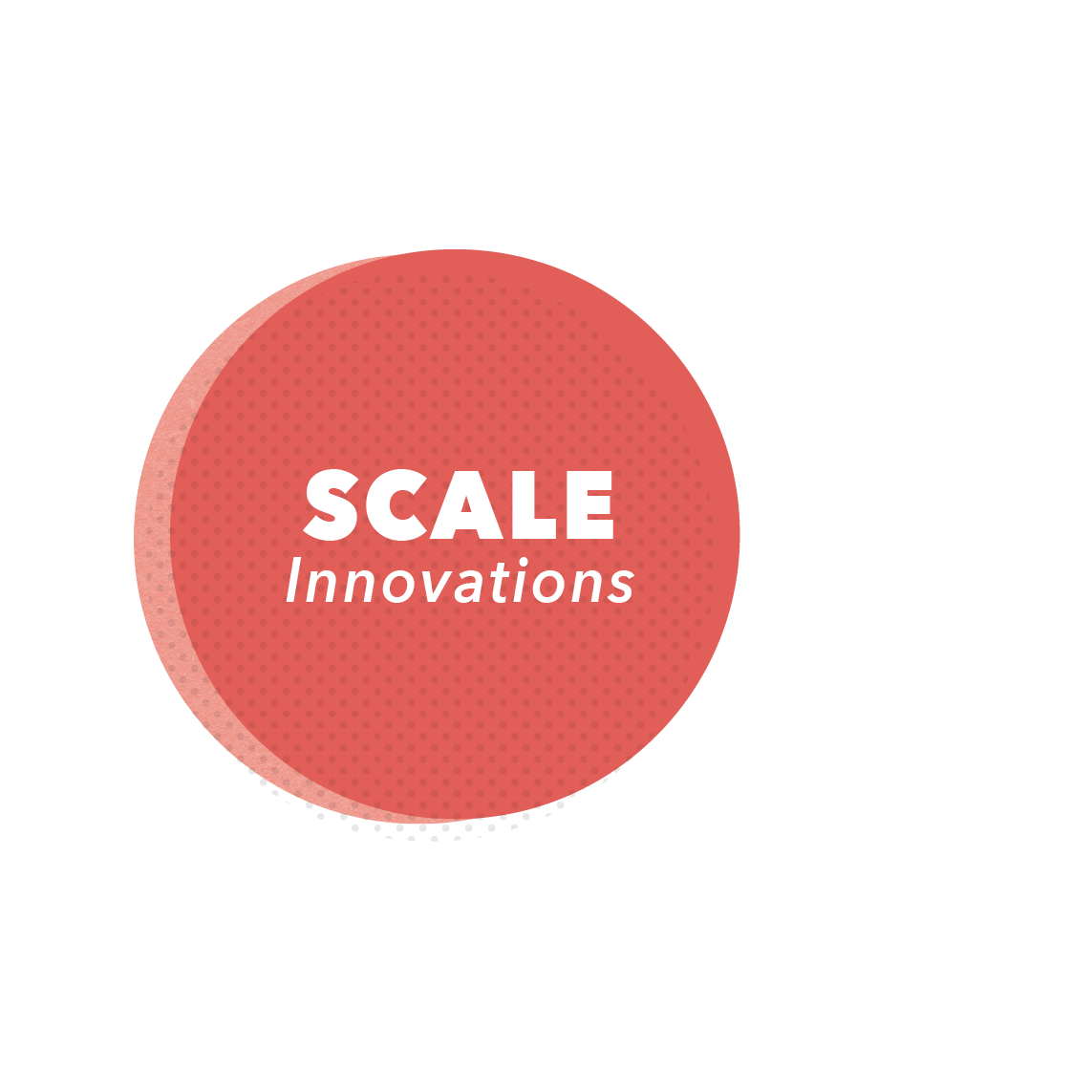 Then we work with the most promising innovations to help them achieve scale by leveraging collaborations between networks of schools to the benefit of both the schools and entrepreneurs.