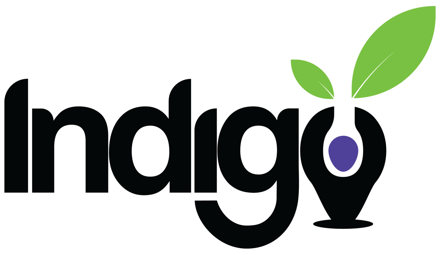 Copy of Indigo.png