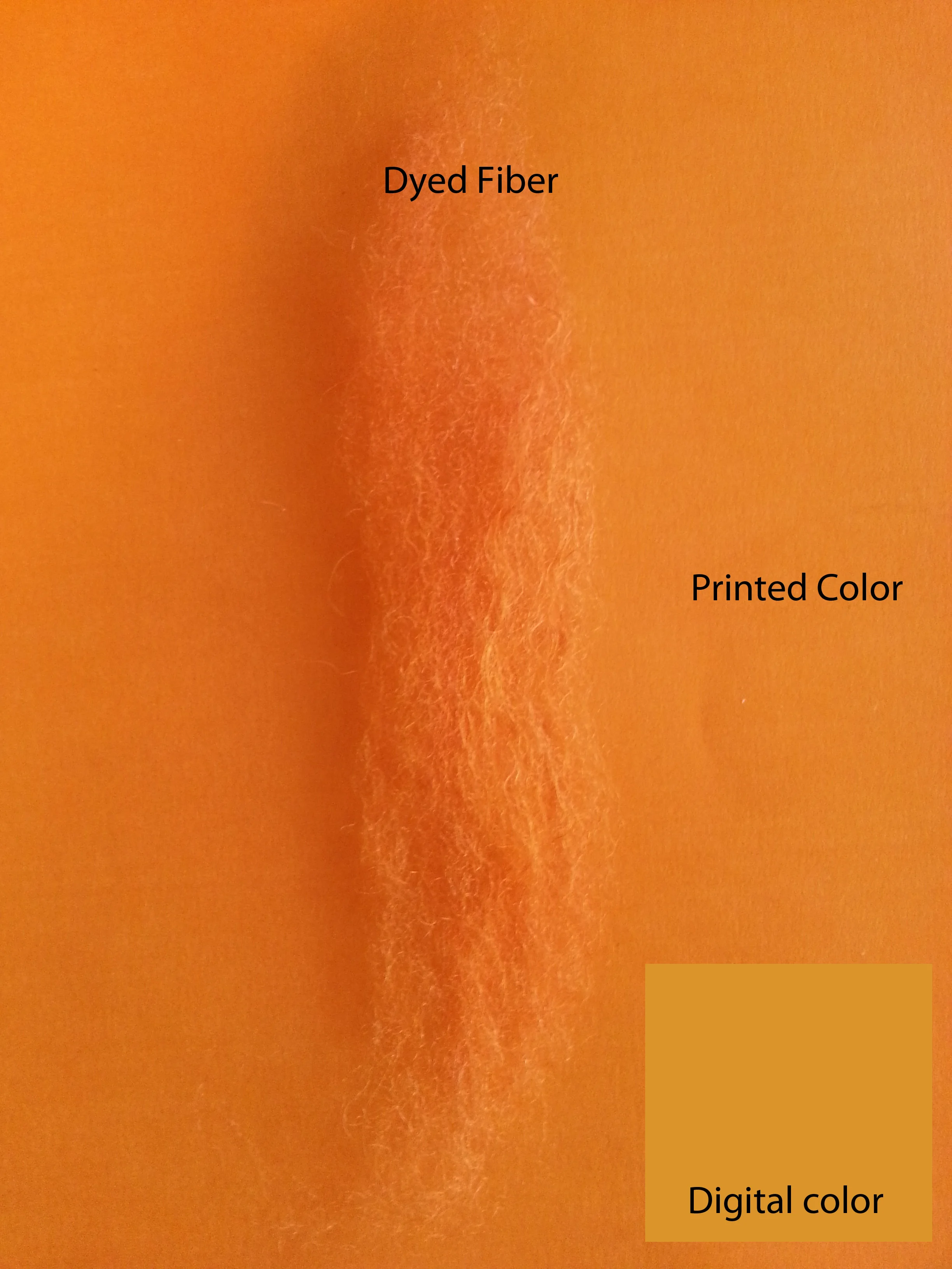Dyeing to Get The Colors You Want.jpg