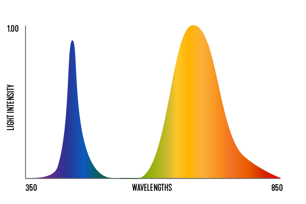 1807_light_spectrum_02_duo-spectrum.png