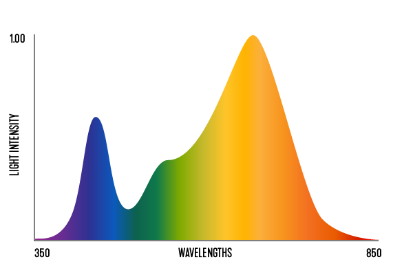light-spectrum-v02_flower-spectrum.png