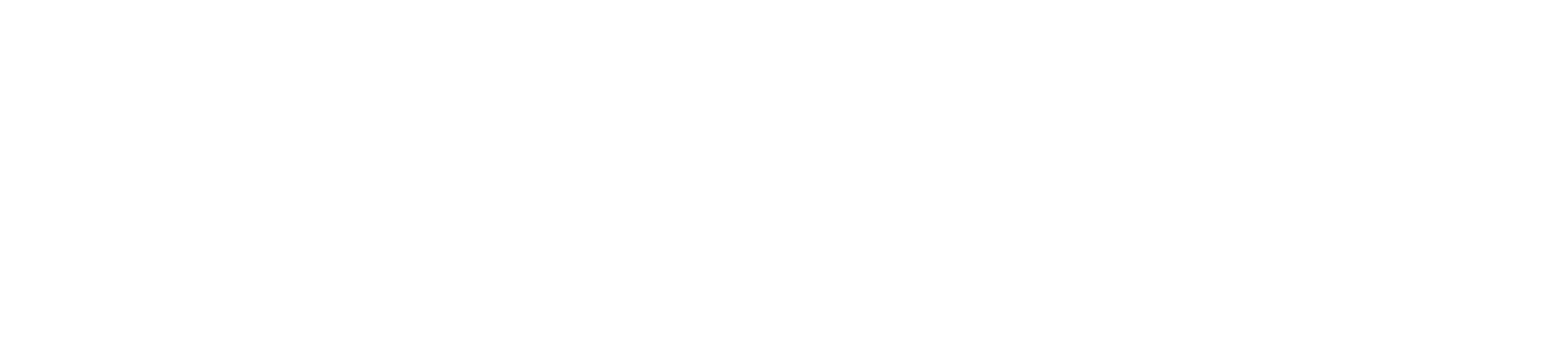 The Old Stone Tavern
