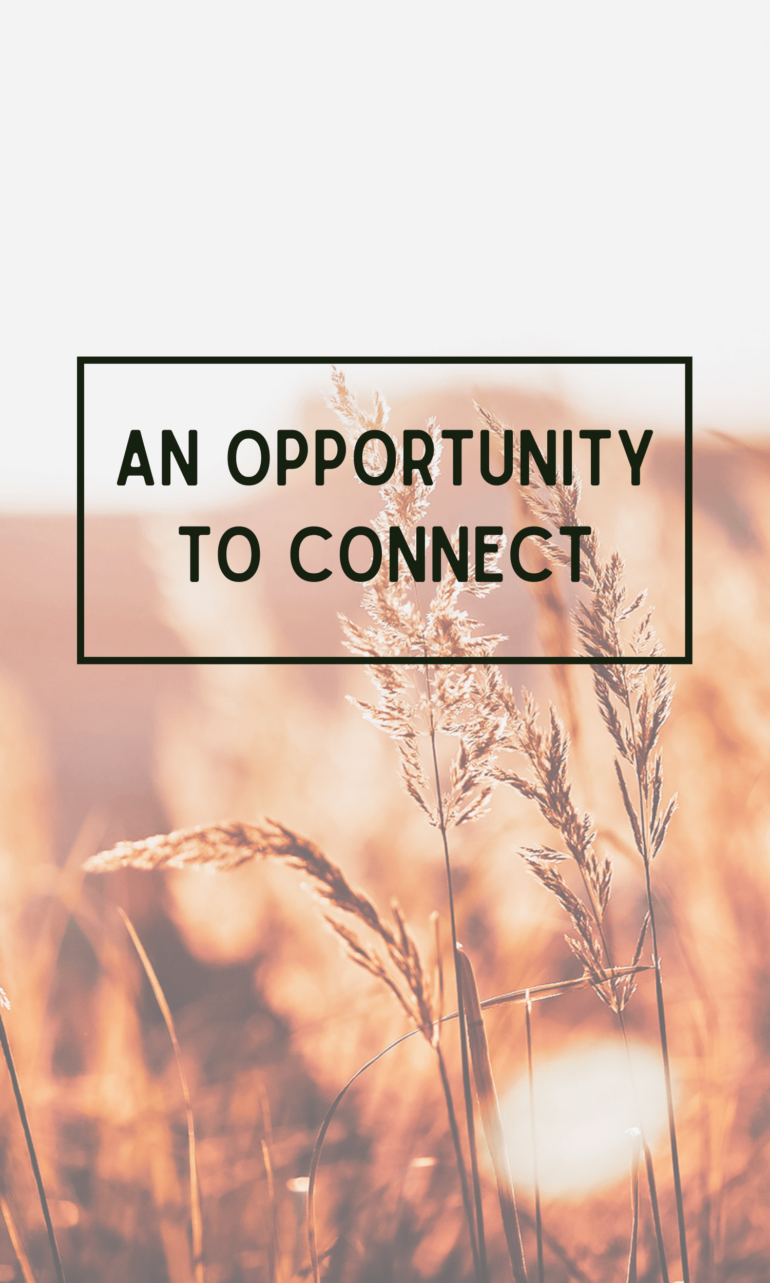 An Opportunity To Connect - Mindful Moment