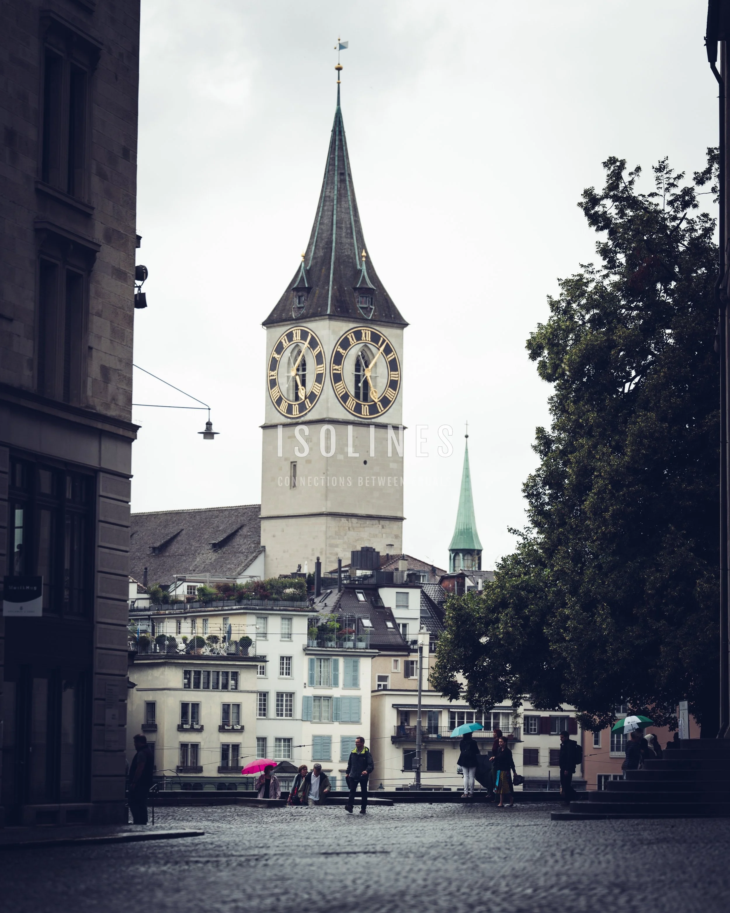 DSCF7250.jpg
