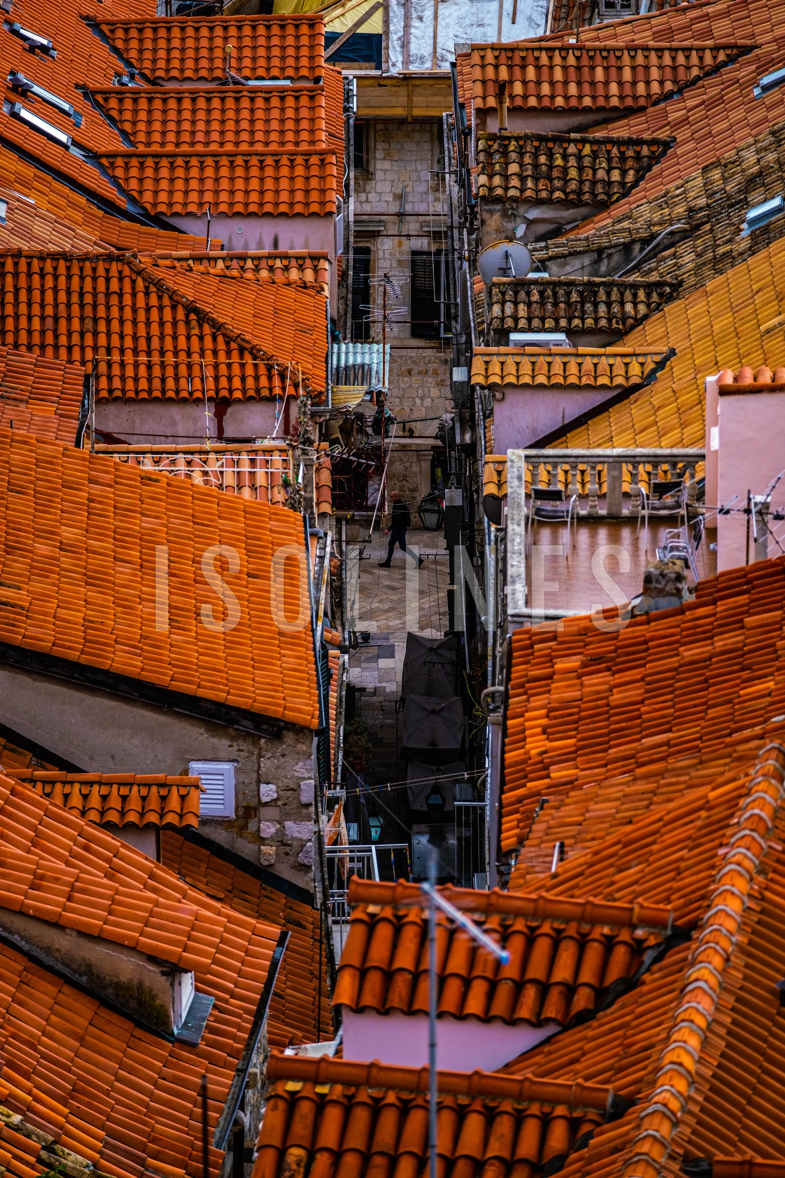 DSCF3495.jpg