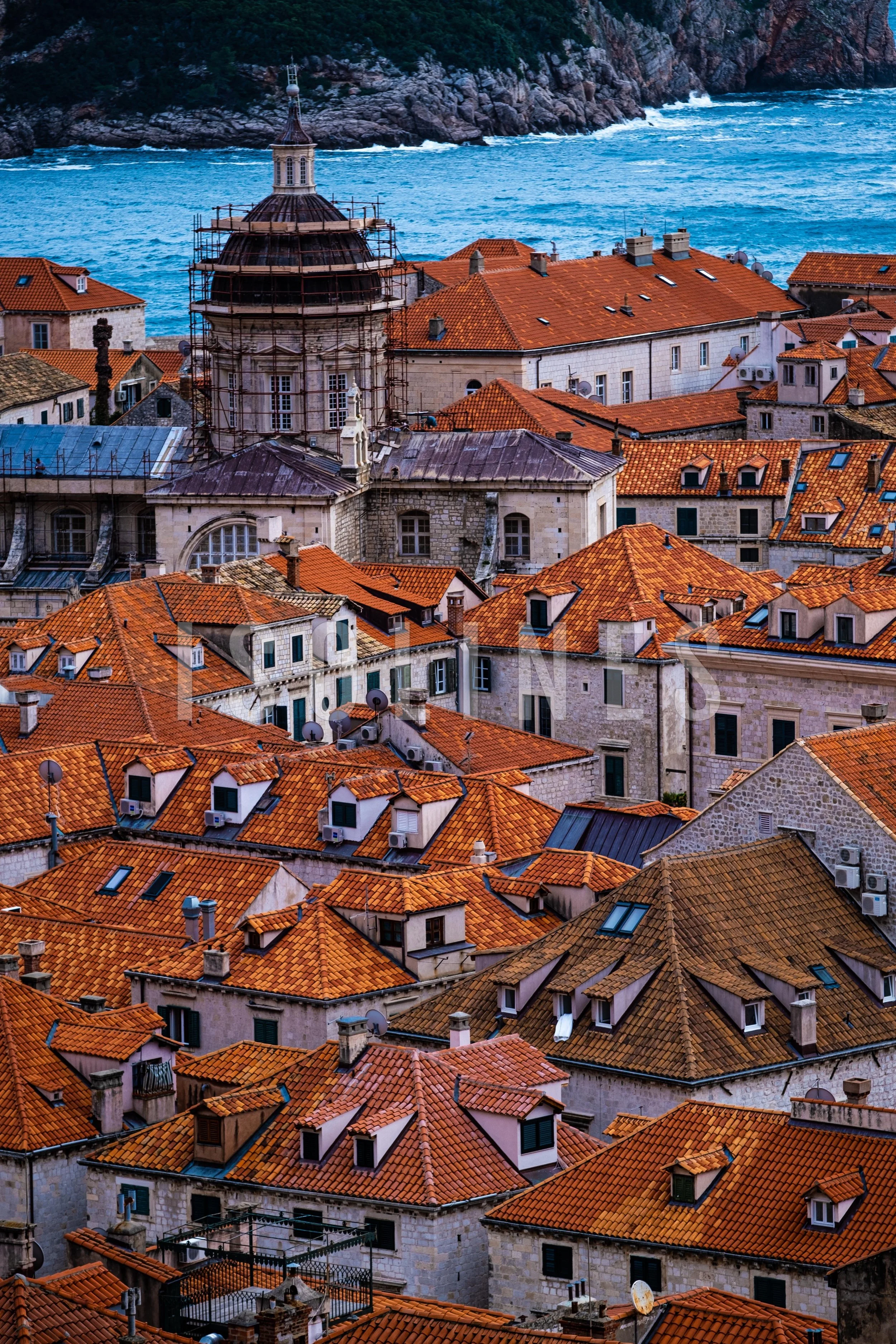 DSCF3491.jpg