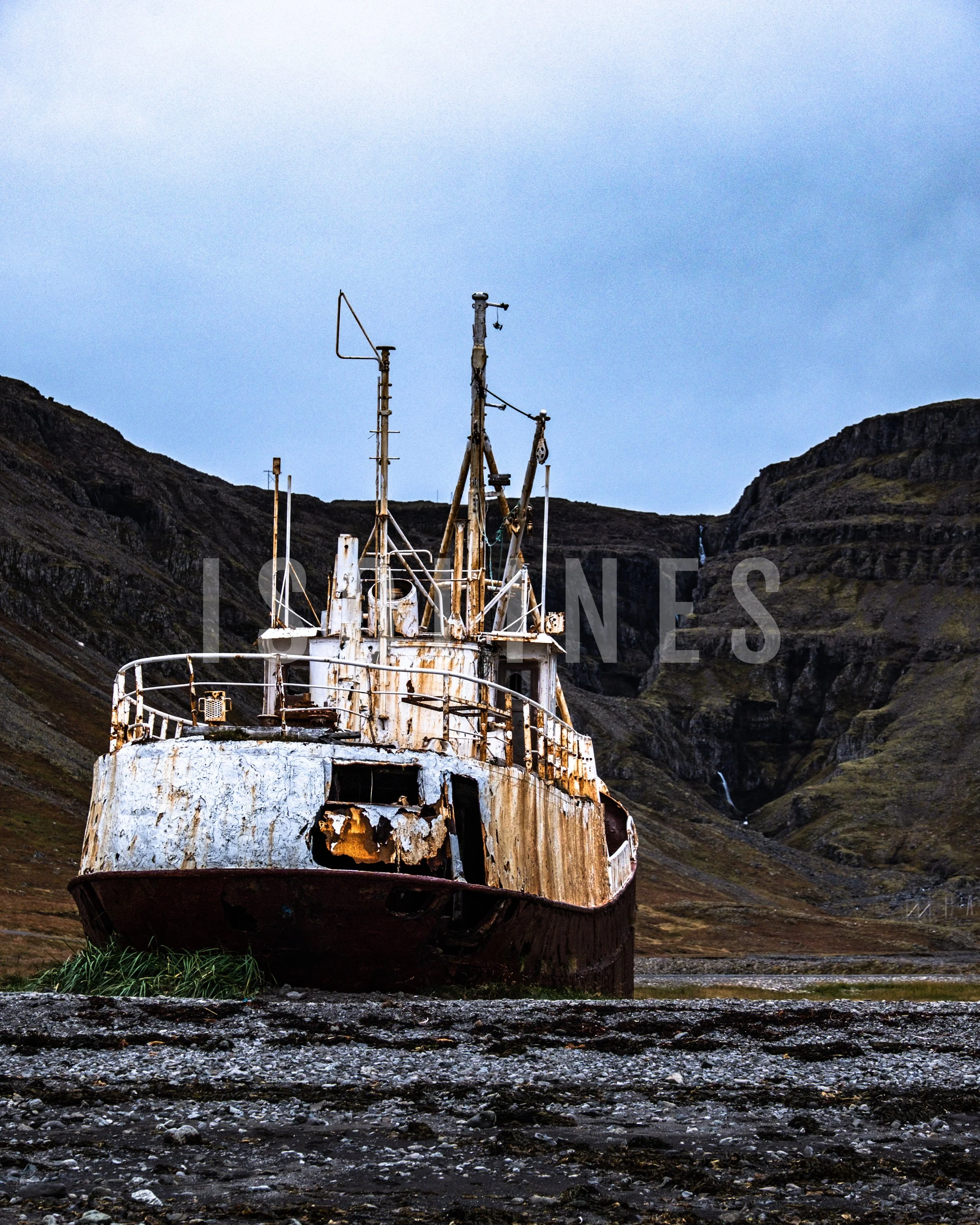 DSCF9617.jpg