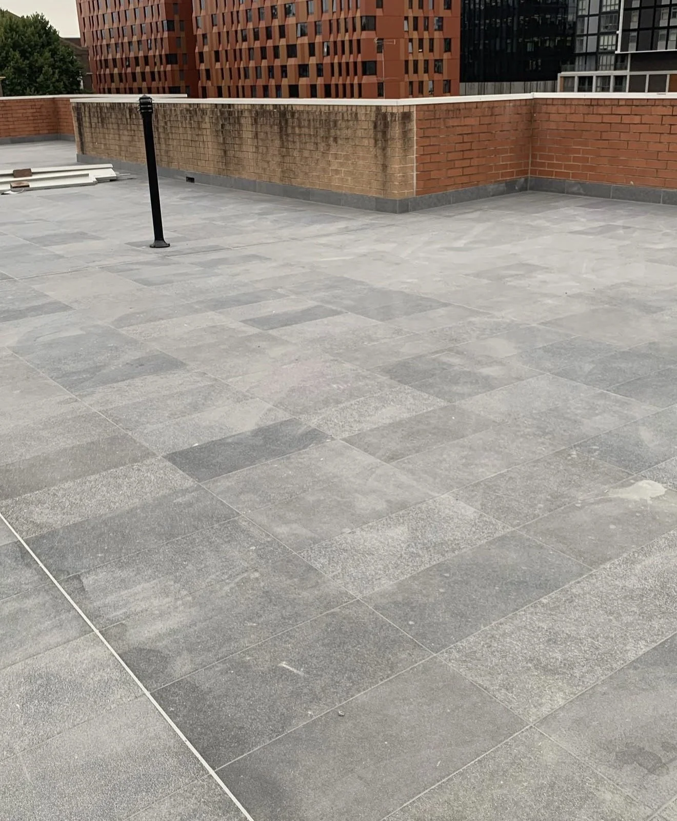 IMG_4529.PNG