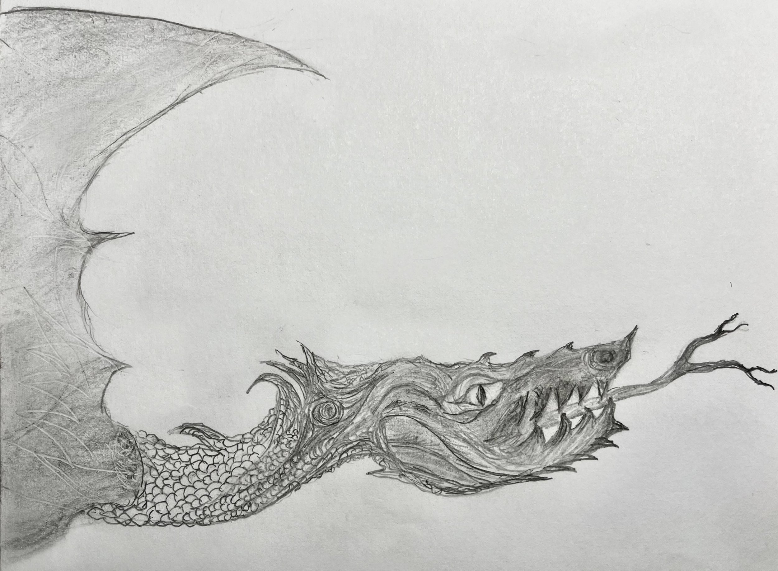 Dragon 1.jpg