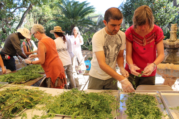 certification class learning harvest process.jpg