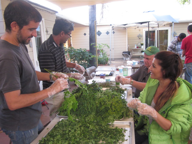 GROWERS AND EDUCATORS COURSE