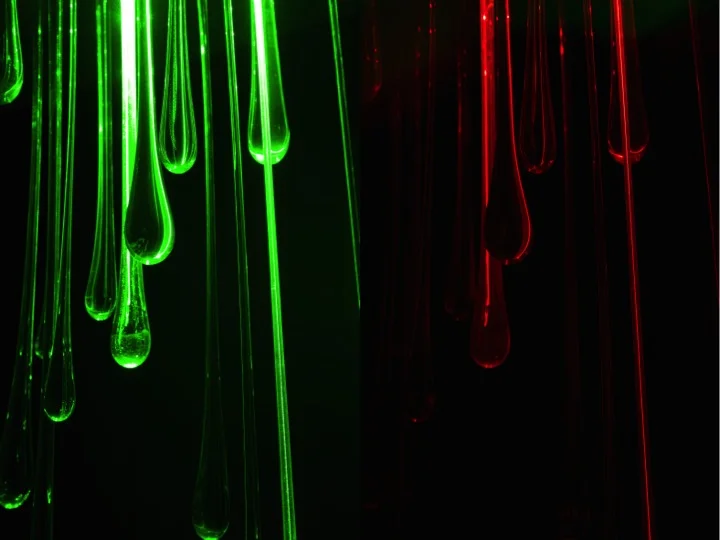 Quantum Colour: Capturing the Movement of Light