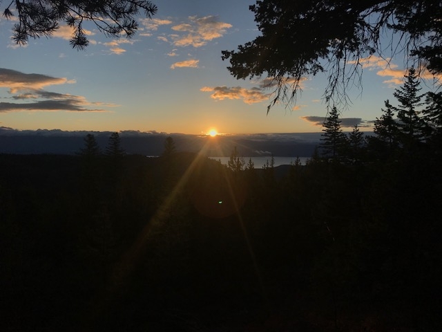 image2 (2).jpeg