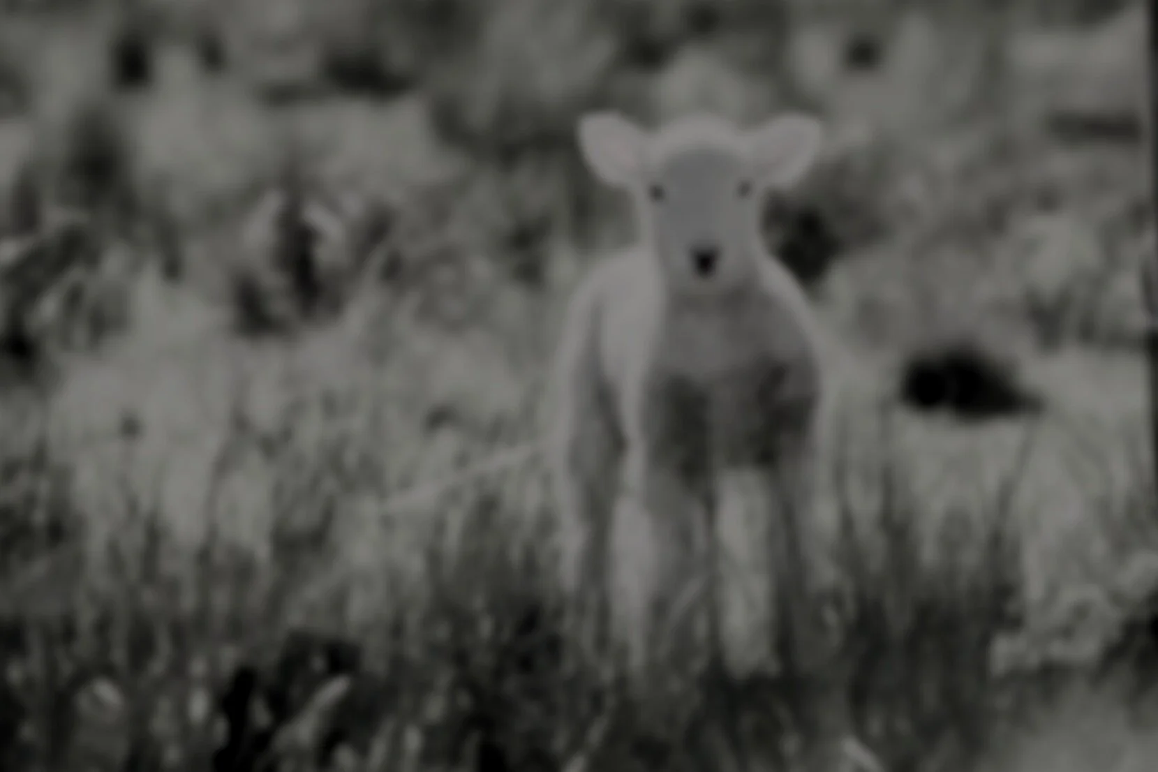 Onboarding The Fallen