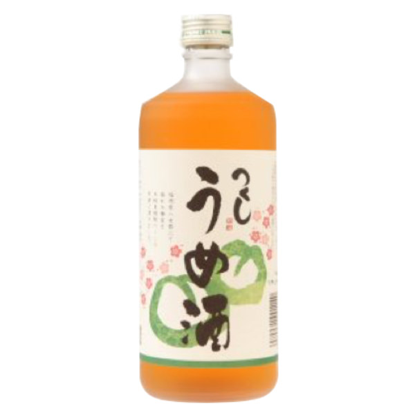 NISHIYOSHIDA "TSUKUSHI" UMESHU Vino di prugne 12% 720ml
