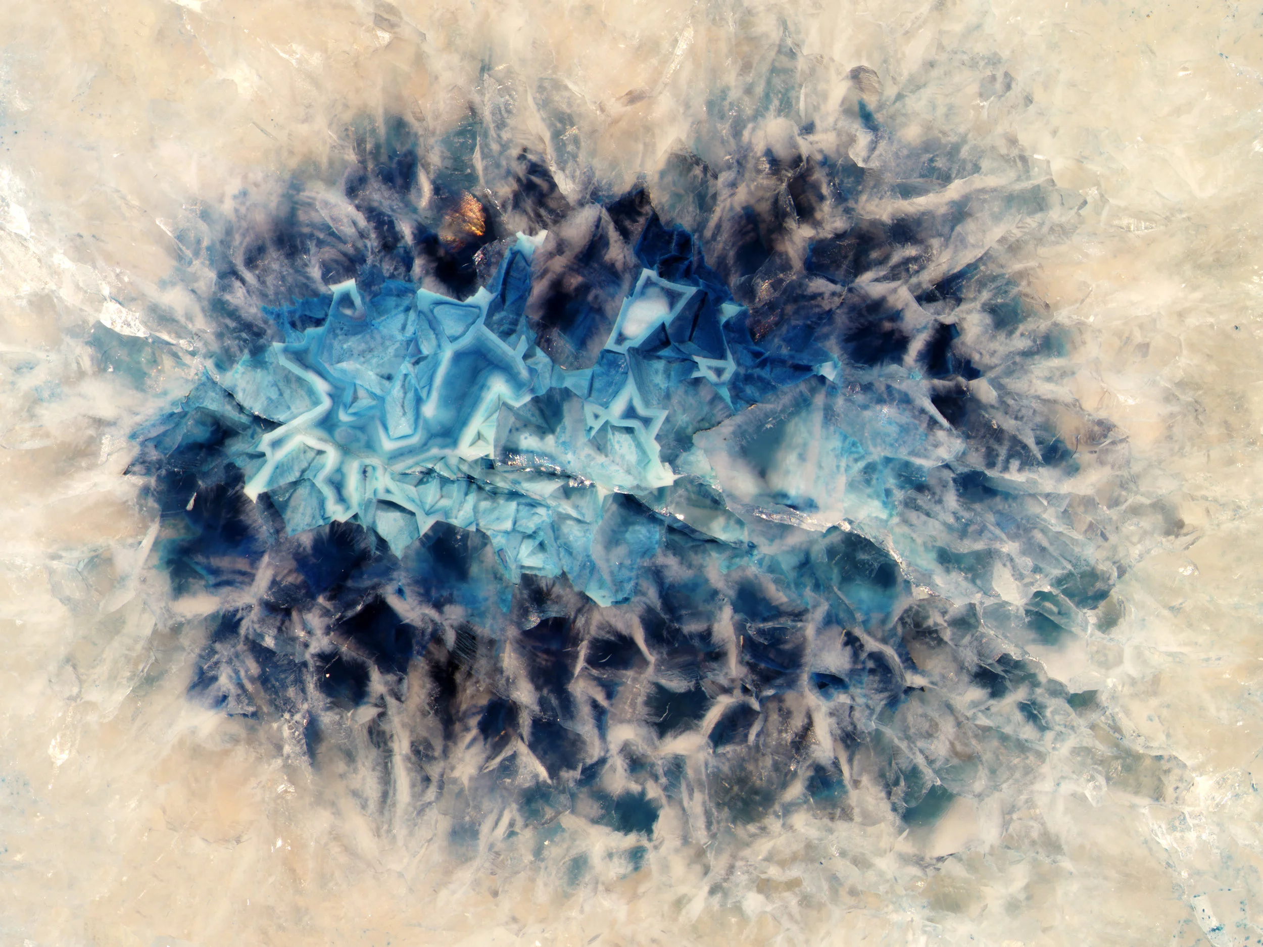 slice composite 1 final.jpg