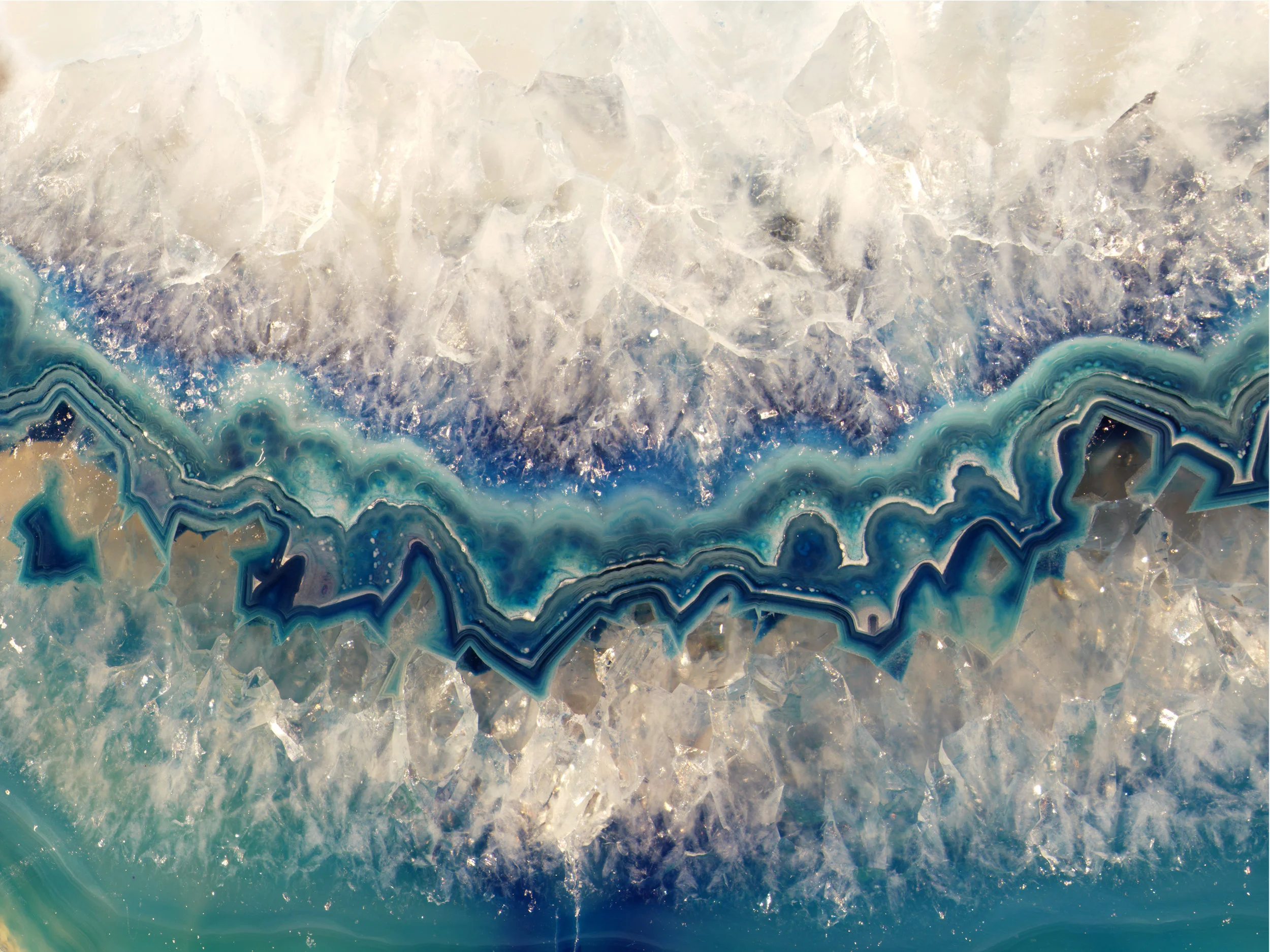 Composite Slice 8.jpg