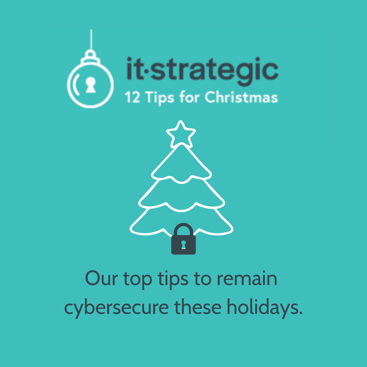 12 Tips for a Cyber Safe Holiday Season