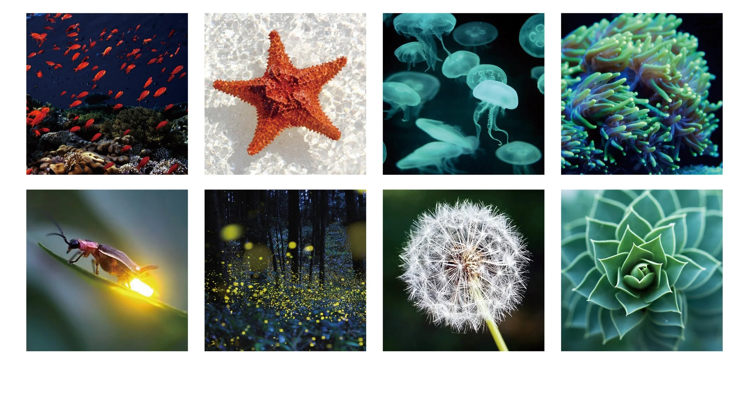 PORTFOLIO-hd28.jpg