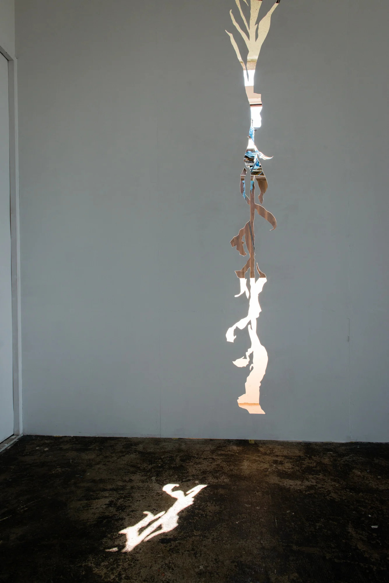 Installation shot from dr/op showing the work of Mouhitori.