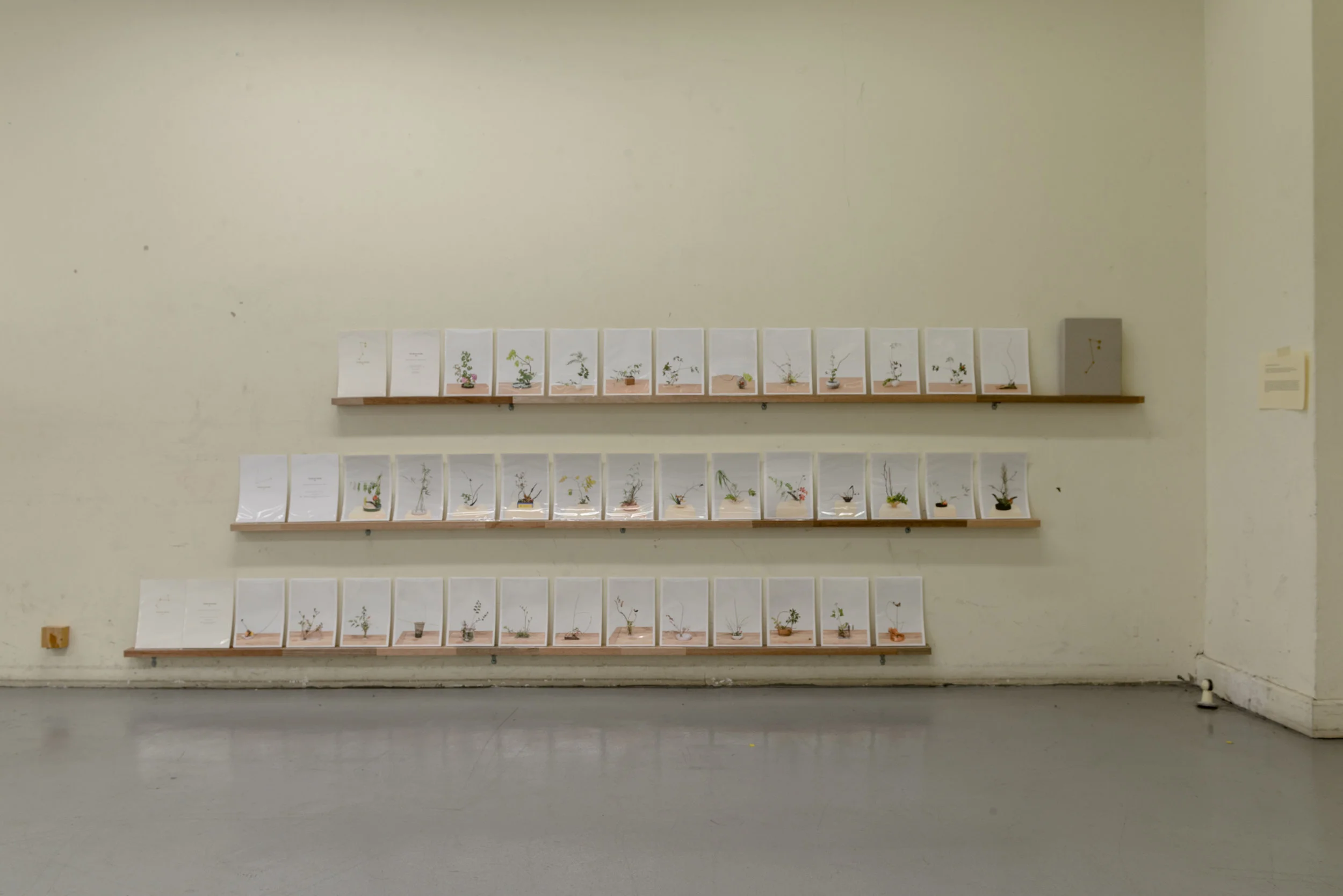 Installation shot from dr/op: Beyond Boundaries showing the work of Martina Della Valle.