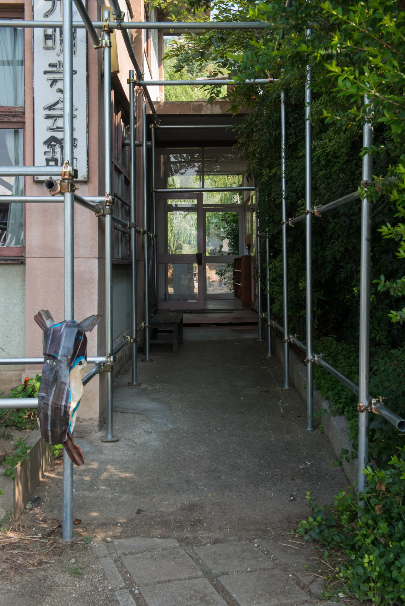 Installation shot from Dogs in a Room showing the work of Mayako Hakusui.