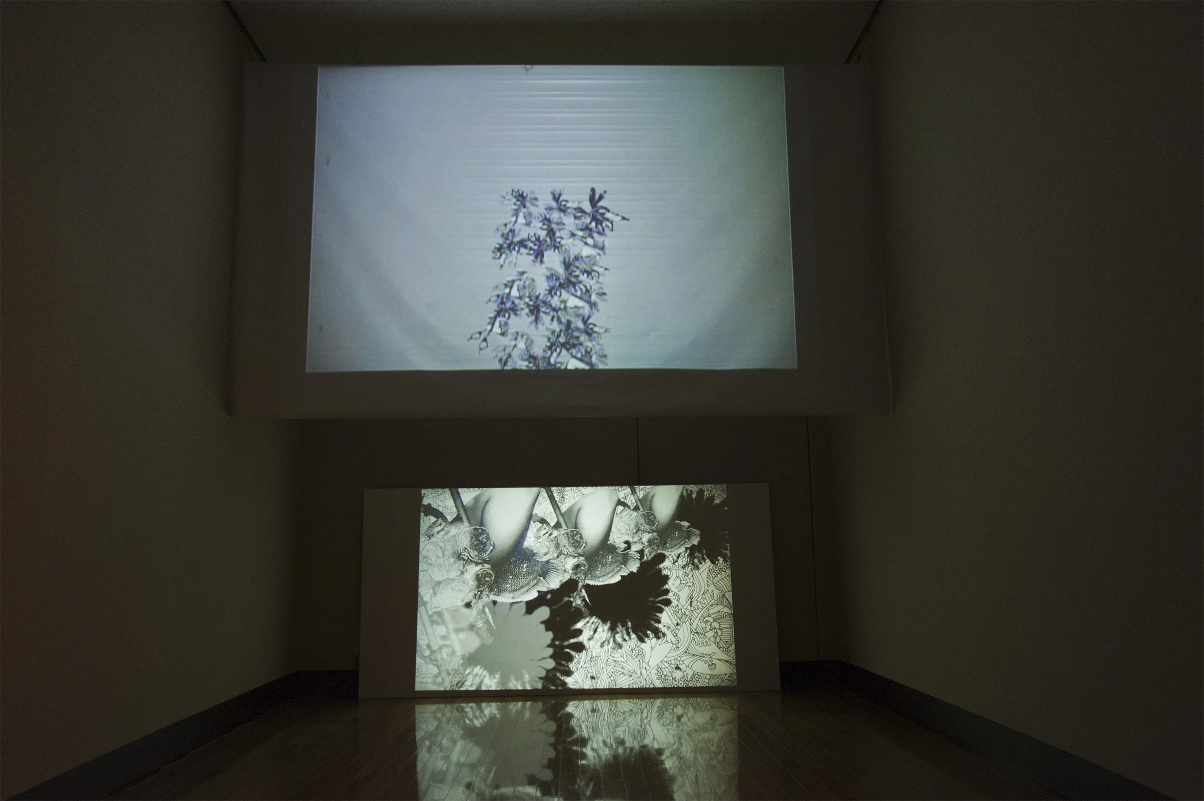 video-instalation2015-1.jpg
