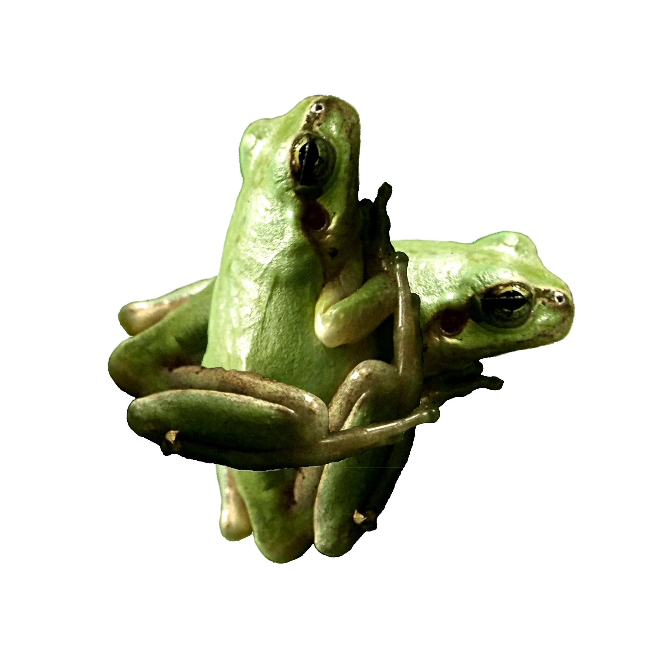 image2018_016.jpg