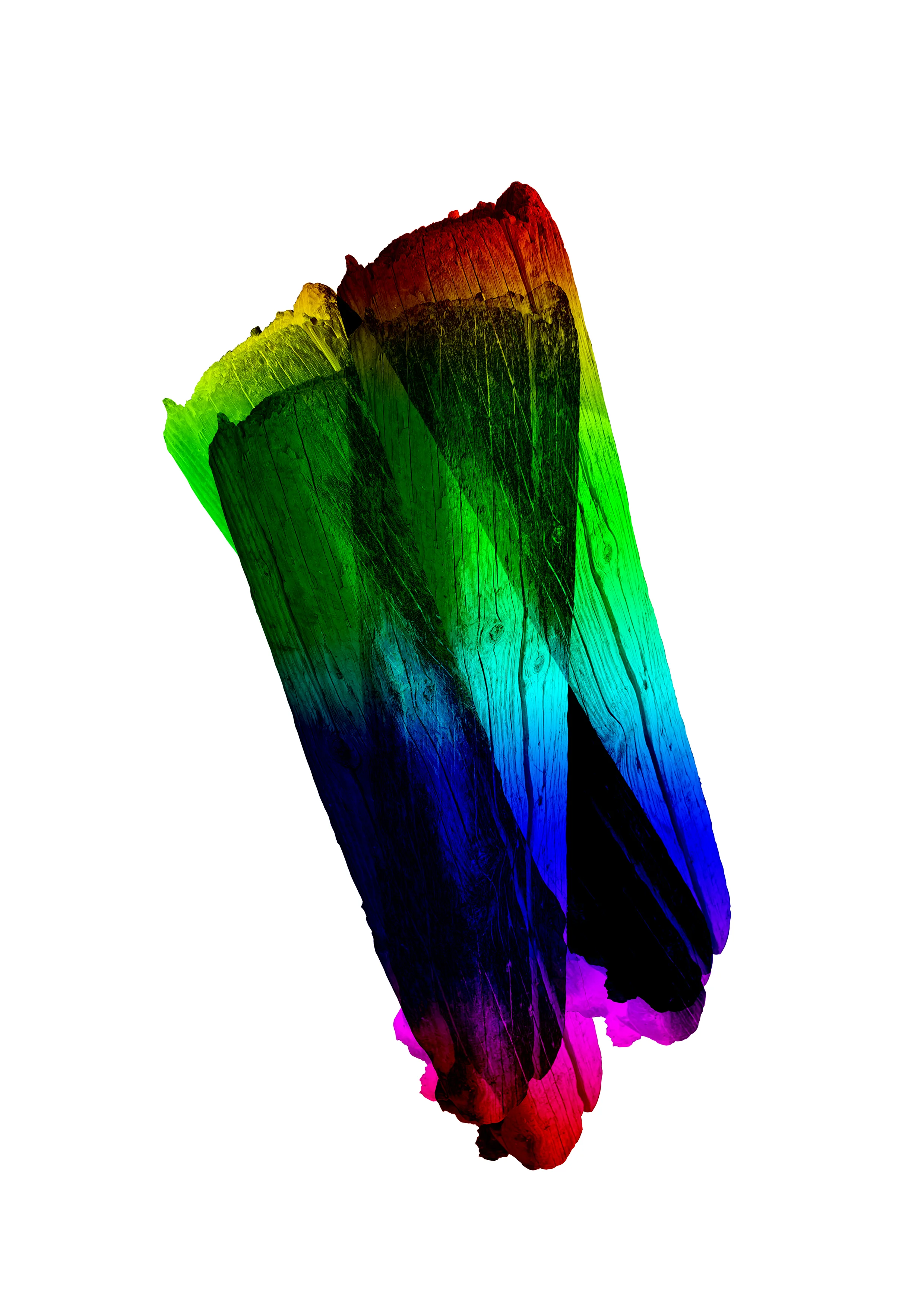 2019-338.jpg