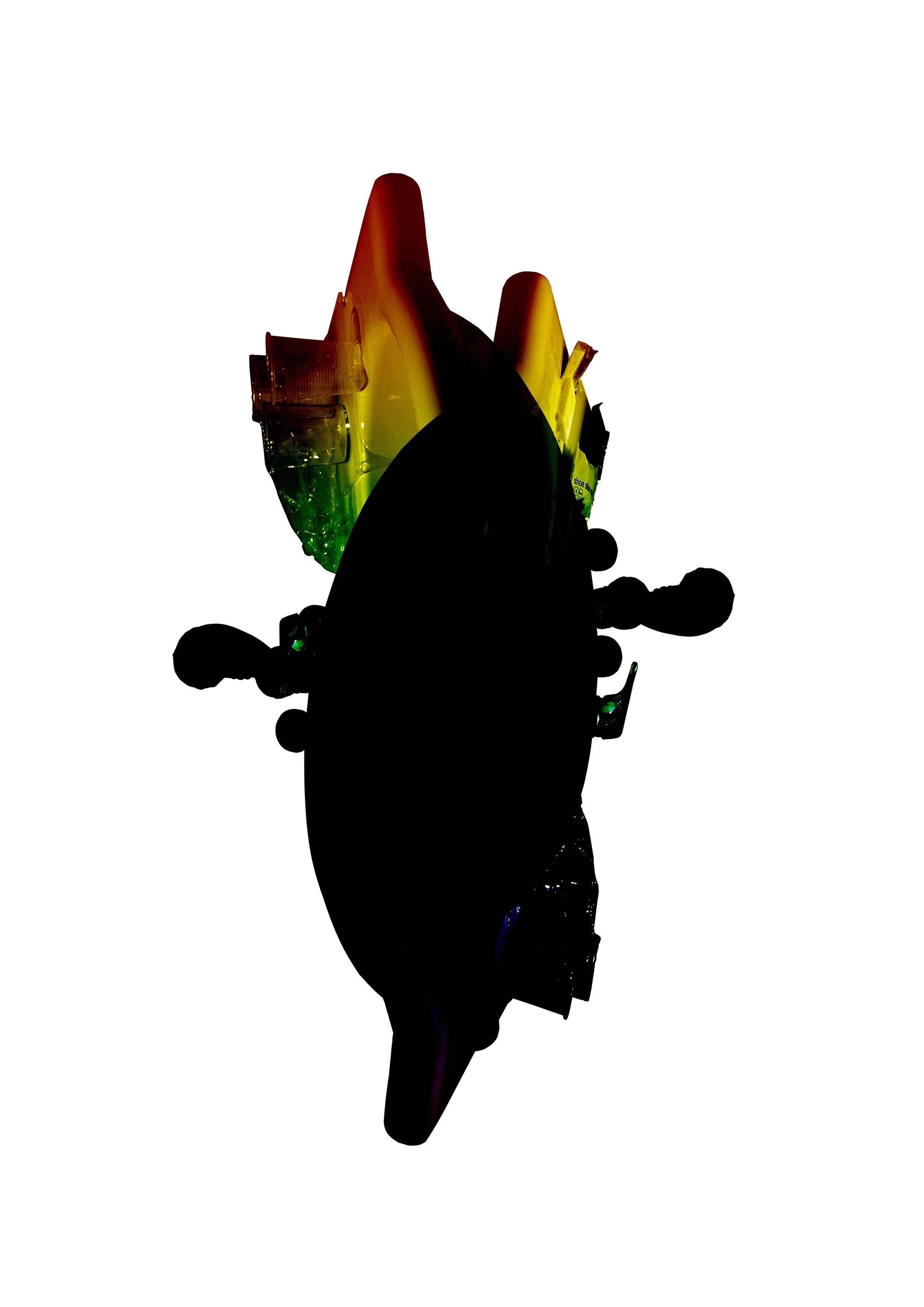 2019-434.jpg